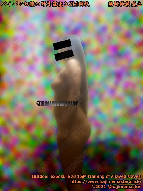 パイパン奴隷美穂のメール調教｜横の全裸写真
