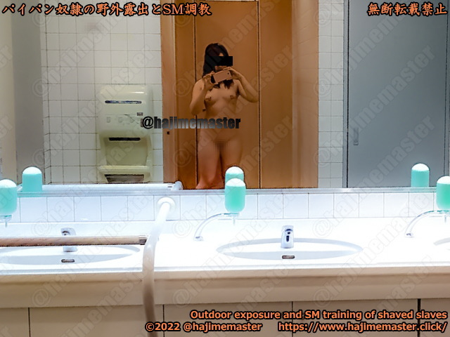 パイパン奴隷美羽のメール調教｜全裸でトイレの個室から出て鏡で撮影した全体風景