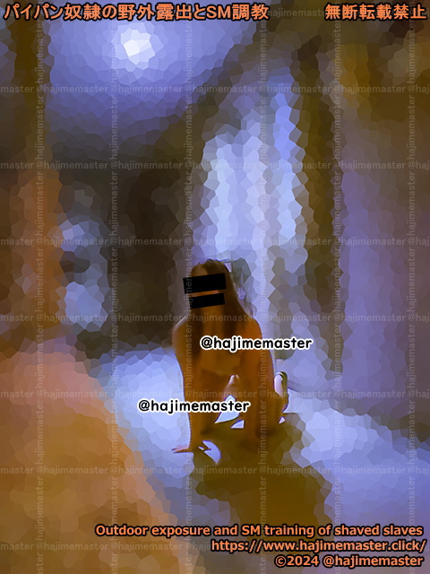 パイパン奴隷美羽のメール調教|全裸で他人の部屋の前で全裸自撮り撮影